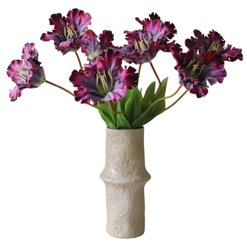 Parrot Tulip Kukkakimppu 70 cm 5 kpl:n pakkaus