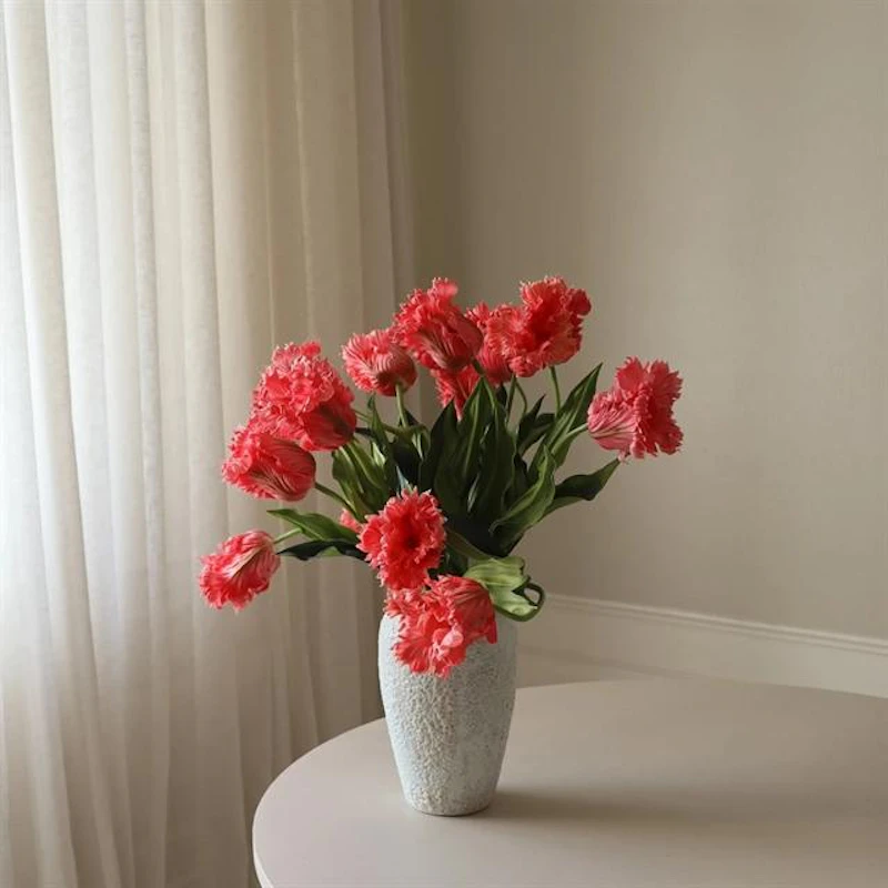 Parrot Tulips Kimppu Punainen