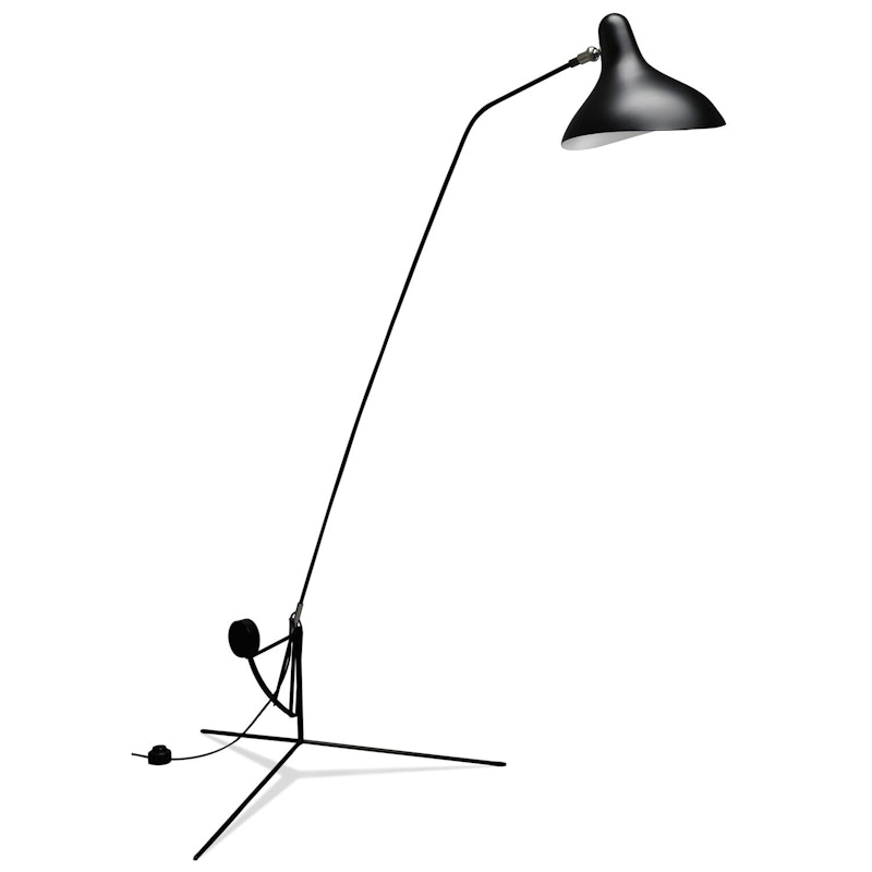 Mantis BS1 Lattiavalaisin