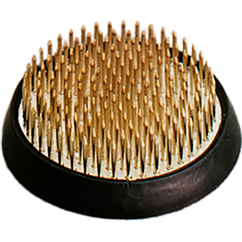 Kukkasammakko, 8 cm