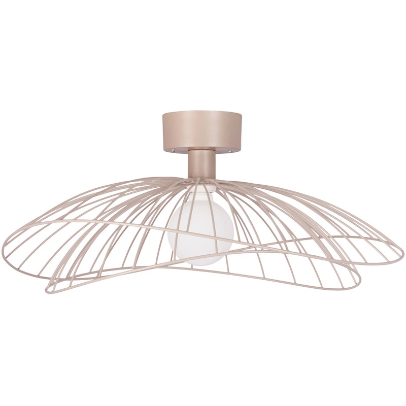 Ray Seinä-Kattovalaisin, Mud