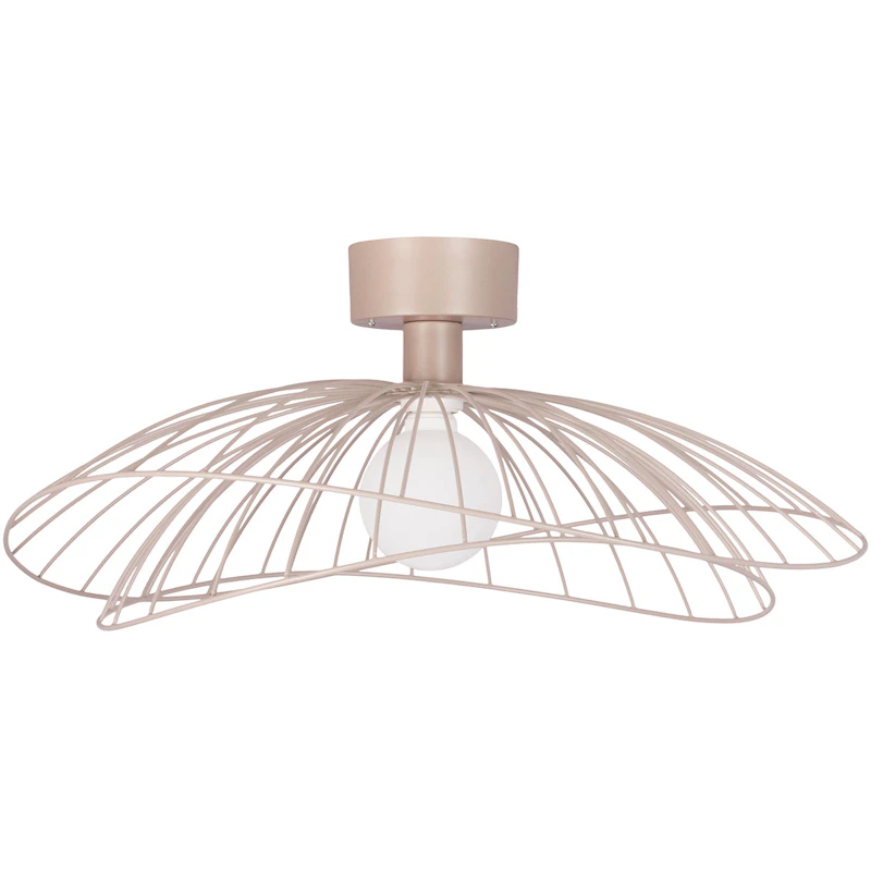 Ray Seinä-Kattovalaisin, Mud