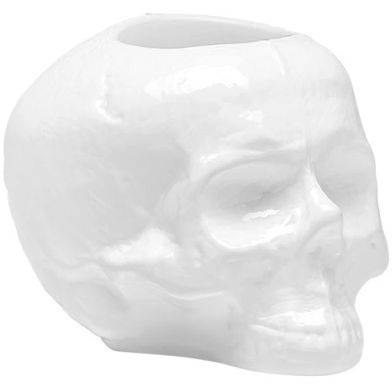 Still Life Skull Lyhty, Valkoinen