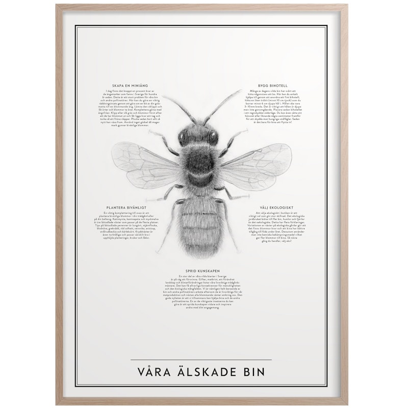 Våra Älskade Bin Juliste 50x70 cm