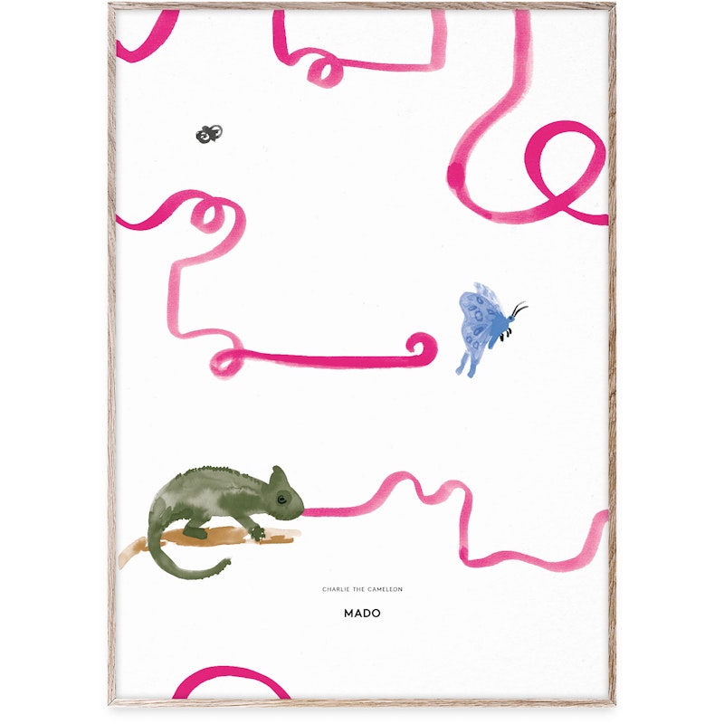 Charlie the Chameleon Juliste, 50x70 cm