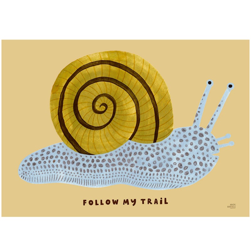 Follow My Trail Juliste 30x40 cm