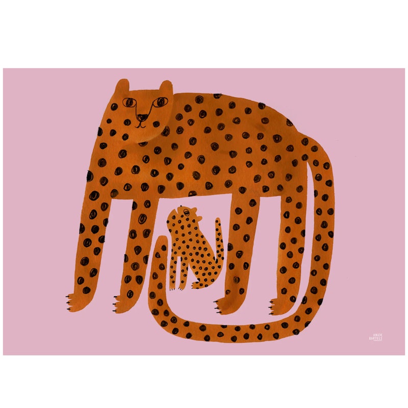 Leopards Juliste 30x40 cm