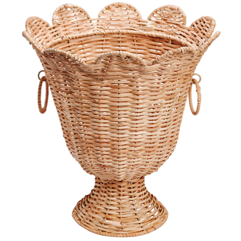 Scallop Vaasi Rottinki, Luonnollinen