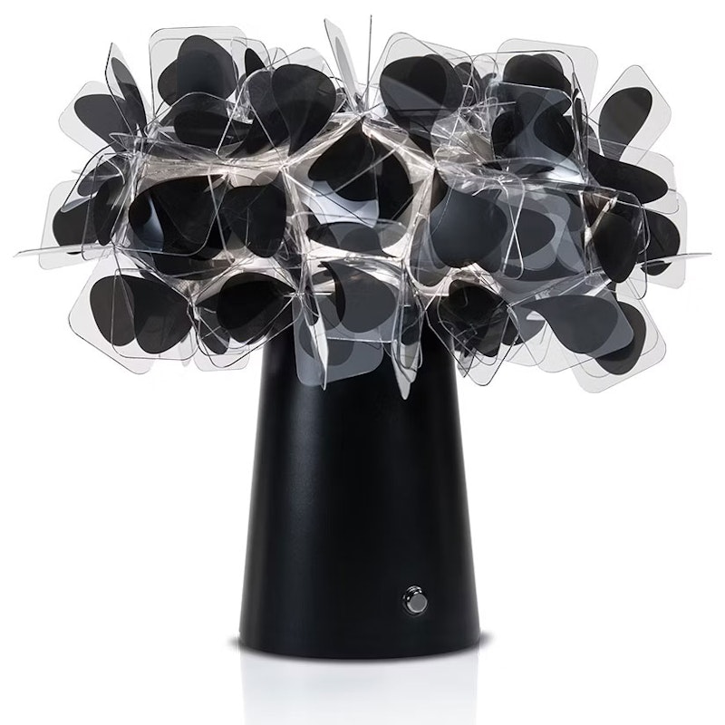 Clizia Pöytävalaisin Kannettava, Musta