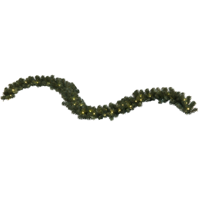 Ottawa Köynnös, 5 m